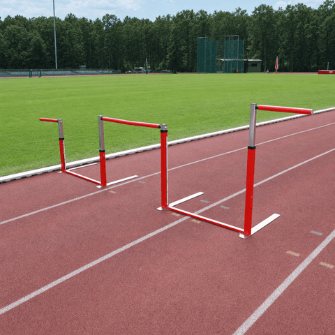 Training hurdle